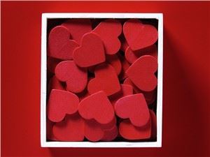 Fdcsafsd0550dddddd202211072303 Fdcsafsd0550dddddd202211072303